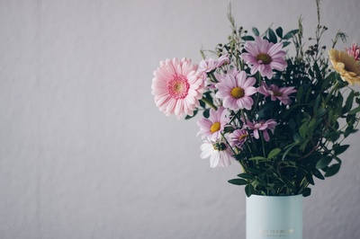 你好春天的图片-粉红的白花瓶花