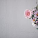 你好春天(Hello Spring)