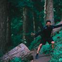 走进树林(Into The Woods)