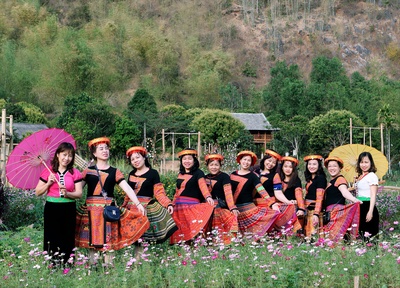 友谊地久天长的图片-站在粉色花田中间的女人