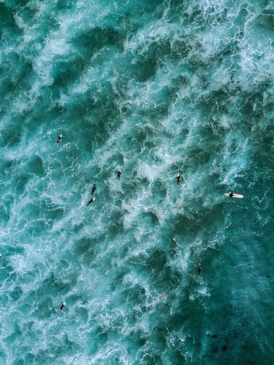 澳大利亚的图片-漂浮在水面上的人的高角度摄影
