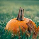 万圣节(Halloween)