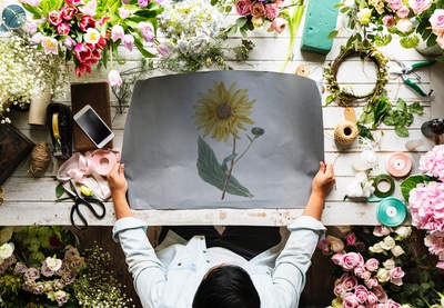 绿手指的图片-黄色向日葵插图