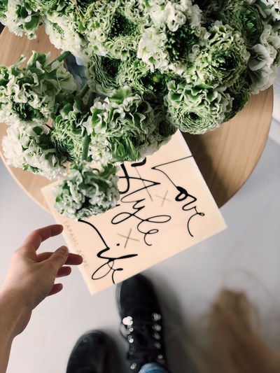 把手放在镜框里的图片-绿叶植物