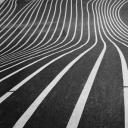 沿着这条线走(Follow the Lines)