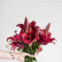 花势(Flower Power)