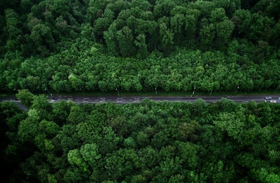 航拍的图片-公路树木鸟瞰图