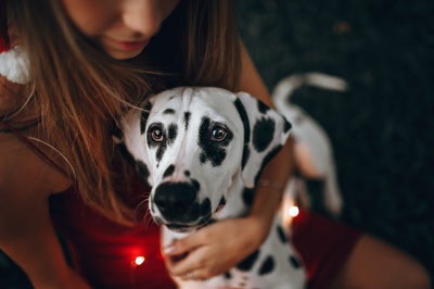 永远的宠物朋友的图片-持成年达尔马提亚犬妇女的选择性聚焦摄影