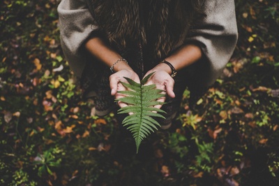 触摸的图片-抱着蕨叶的女人