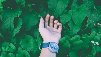 触摸的图片-戴手表的人的特写照片