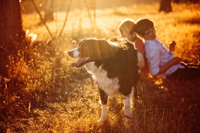 农村生活的图片-两个男孩在成年黑白边境牧羊犬旁边