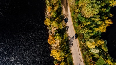 从高处的图片-水面树木间道路航拍