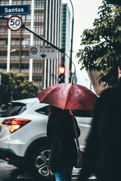 雨天的图片-在白色SUV附近撑开伞的女人