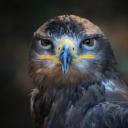 物以类聚(Birds Of A Feather)