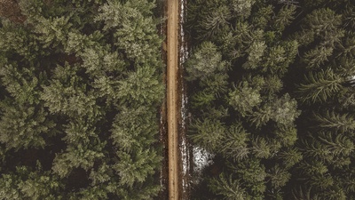 美丽的背景的图片-松林间道路航拍