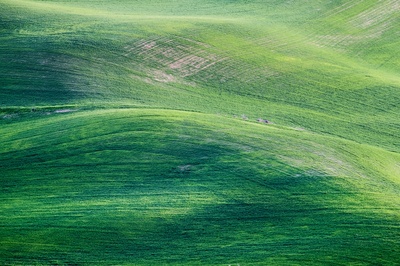 美丽的背景的图片-青山画