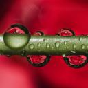 水滴(Water drops)