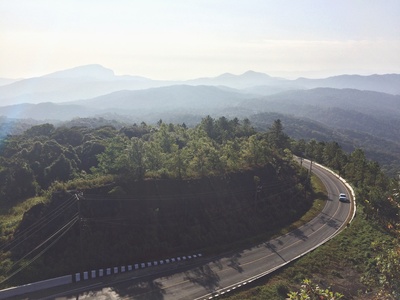 路在何方的图片-绿色树木旁弯曲混凝土道路的航空摄影
