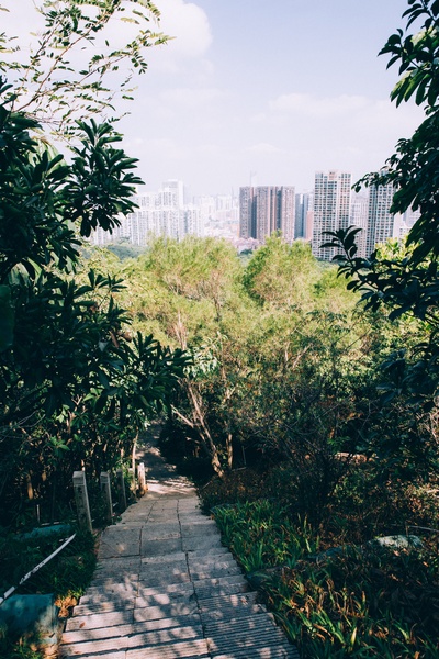 公园的图片-城市森林公园小径