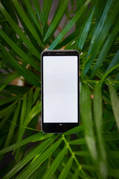 技术的图片-绿色叶子上的白色iphone5c