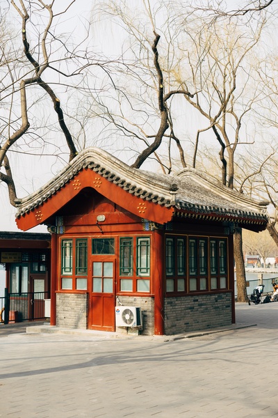 精选的图片-白天，在光秃秃的树木旁建造了一座棕色和白色的混凝土建筑