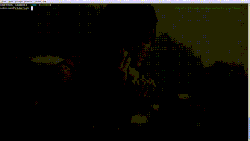 程序员的gif-made fw GIF