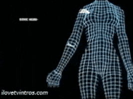程序员的gif-bionic woman GIF