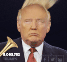 特朗普的gif-comb over donald trump GIF