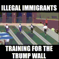 特朗普的gif-trump wall GIF