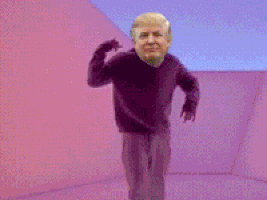特朗普的gif-trump hotline GIF
