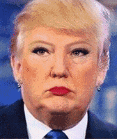 特朗普的gif-donald trump GIF