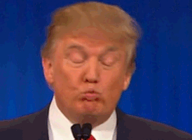 特朗普的gif-dance trump GIF