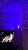 特朗普的gif-trump house GIF