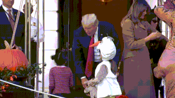 特朗普的gif-trump smile GIF