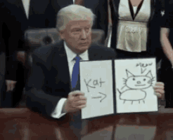 特朗普的gif-trump decree GIF