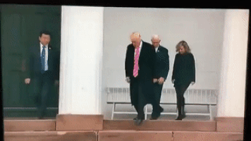 特朗普的gif-trump GIF