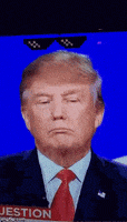 特朗普的gif-trump donald GIF