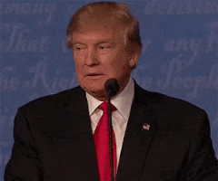 特朗普的gif-trump debate GIF