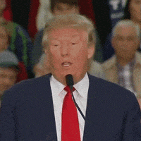 特朗普的gif-trump donald GIF