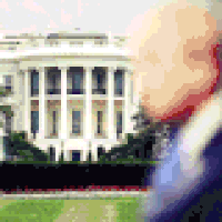 特朗普的gif-trump rallying GIF