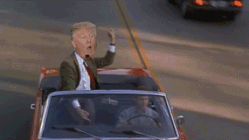 特朗普的gif-trump greets GIF