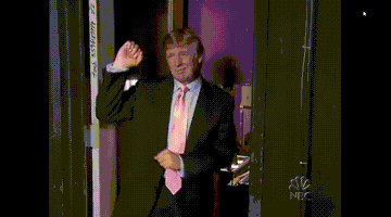 特朗普的gif-trump donald GIF