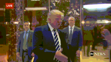 特朗普的gif-trump today GIF