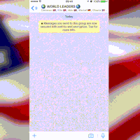 特朗普的gif-trump president GIF