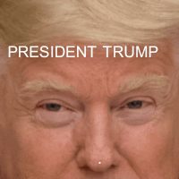 特朗普的gif-trump president GIF