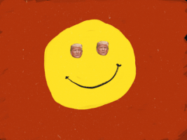 普京的gif-trump smile GIF
