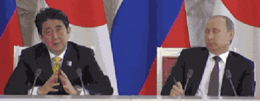 普京的gif-boss putin GIF
