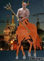 普京的gif-picture putin GIF