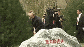 普京的gif-obama moves GIF