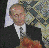 普京的gif-stupid GIF